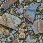 Boden: Kaseler Nies’chen