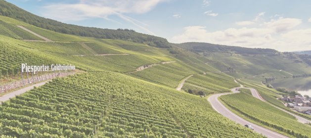 Foto: Piesporter Goldtröpfchen