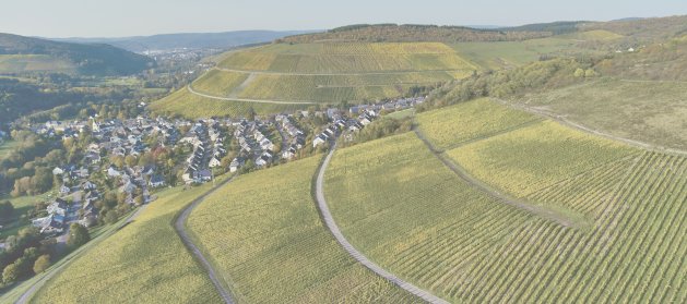 Foto: Kaseler Kehrnagel